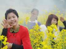 你还记得油菜花里的王姑娘吗？