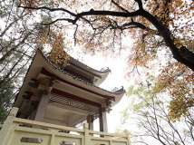 大蜚山小游